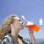 083aeb41b1b1417c79996a4986bd7f61.png