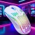 107934170d0cad48b804295c08843392.webp